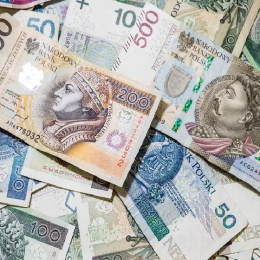 luzno rozrzucone banknoty polskie