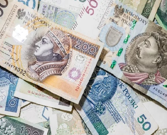 luzno rozrzucone banknoty polskie