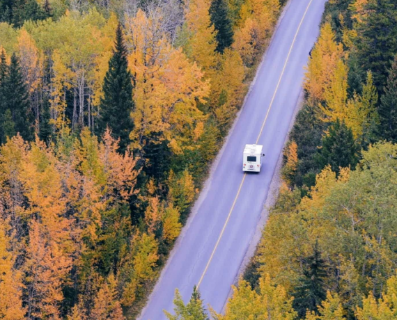 podróże małe i duże plakat tło