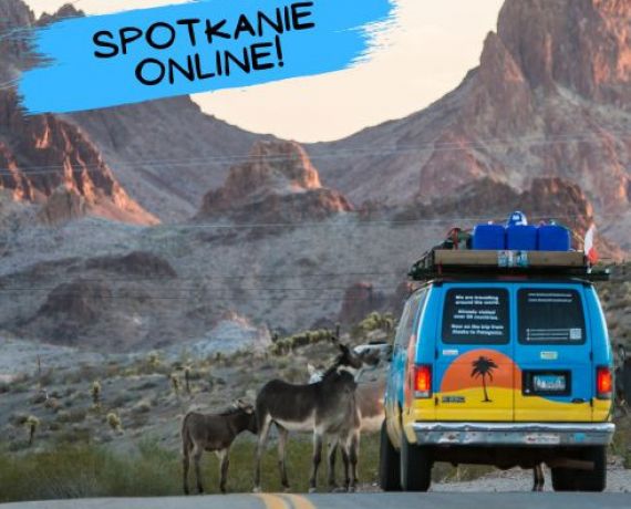 Zdjęcie kolorowego busa stojącego na asfaltowej drodze otoczonej skalistymi górami. Z lewej strony busa stoi niewielkie stado osłów