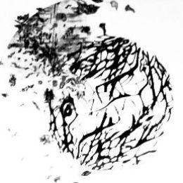 czarno-biała grafika