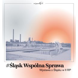 #ślaskwspolnasprawa