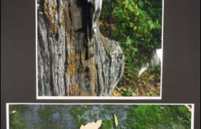 Zdjęcie na górze: krzyż z Chrystusem, zdjęcie na dole: napis z mchu 