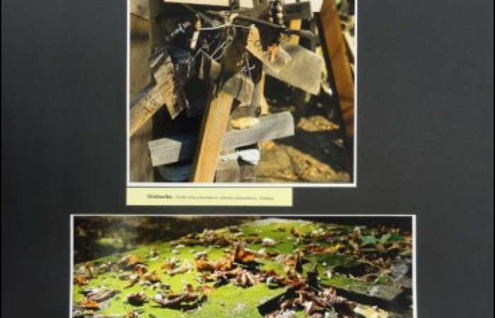 Zdjęcie na górze: stos drewnianych krzyży. Zdjęcie na dole: porośnięty mchem i pokryty liśćmi nagrobek.