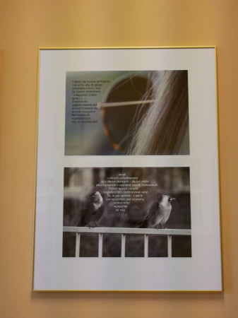 2 fotografie w antyramie wiszącej na ścianie